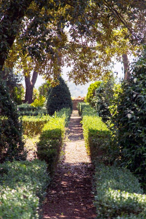 Villa Colle al Matrichese - Historic Winery Montalcino Esterno foto